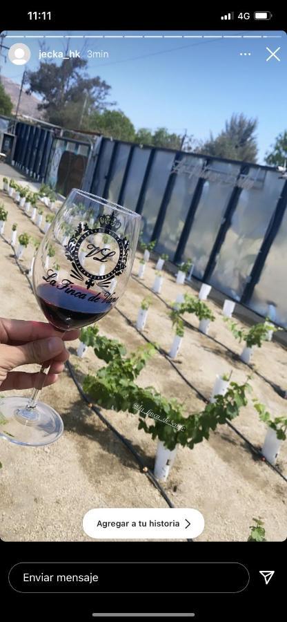 La Finca De Vane Вале де Гуадалупе Екстериор снимка